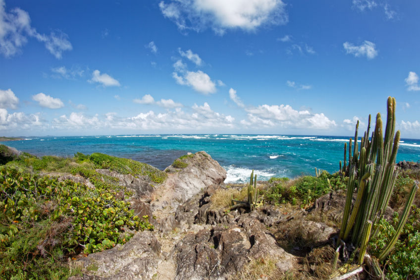 Port du Marin Martinique